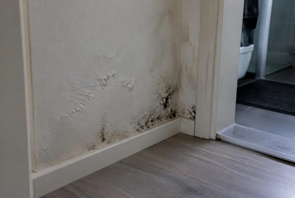 Lekdetectie Alphen aan den Rijn – vochtplek met schimmel op een muur